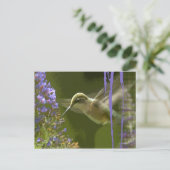 Carte Postale Humming Bird Harmony (Debout devant)