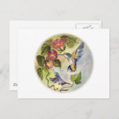 Carte Postale Humming Birds (Devant / Derrière)