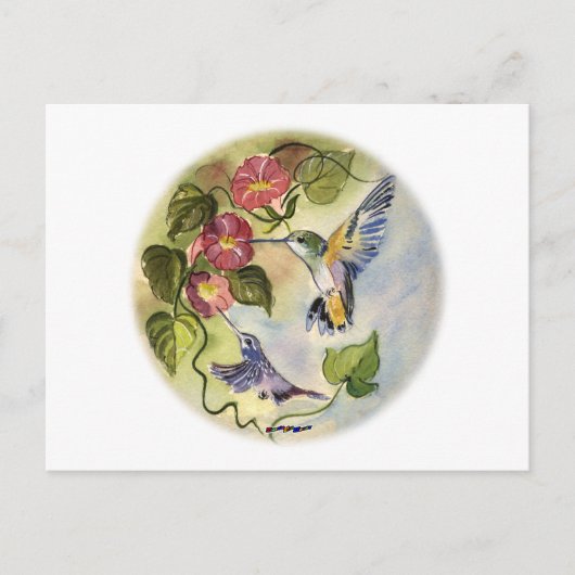 Carte Postale Humming Birds (Devant)
