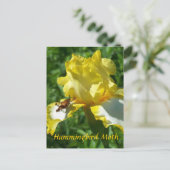 CARTE POSTALE HUMMINGBIRD MOTH (Debout devant)