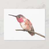 Carte Postale Hummingbird watercolor (Devant)
