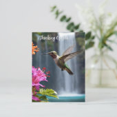 Carte Postale Hummingbird Waterfall Park, (Debout devant)