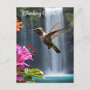 Carte Postale Hummingbird Waterfall Park,
