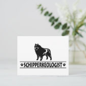 Carte Postale Humoristique Schipperke (Debout devant)