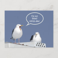 Humorous Yelling Seagull Funny Post Card