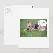 Carte Postale Humour berger allemand (Devant / Derrière)