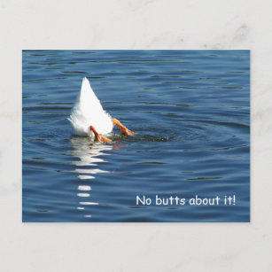 Carte postale Humour Bouton de canard
