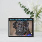 Carte postale "Humour canin" (Debout devant)