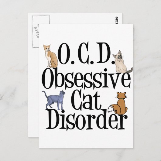 Carte Postale Humour chat mignon (Devant / Derrière)