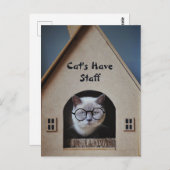 Carte Postale Humour Chat Mignonne Chats Drôle Avec Citation Per (Devant / Derrière)