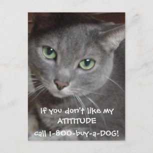 Carte Postale Humour d'attitude de chat bleu russe