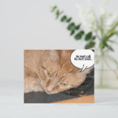 Carte Postale Humour de chat Tabby Orange (Debout devant)