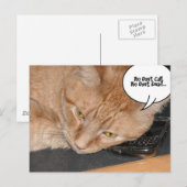 Carte Postale Humour de chat Tabby Orange (Devant / Derrière)