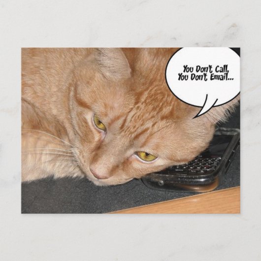 Carte Postale Humour de chat Tabby Orange (Devant)