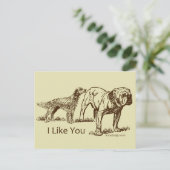 Carte Postale Humour de Like You Dog (Debout devant)