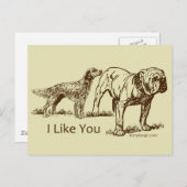 Carte Postale Humour de Like You Dog (Devant / Derrière)