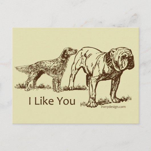Carte Postale Humour de Like You Dog (Devant)