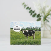 Carte Postale Humour de vache (Debout devant)