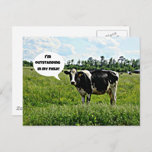 Carte Postale Humour de vache (Devant / Derrière)