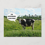 Carte Postale Humour de vache (Devant)