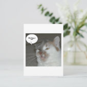 Carte Postale Humour du Bachelor Party (Debout devant)