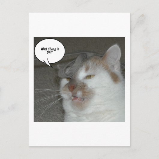 Carte Postale Humour du Bachelor Party (Devant)