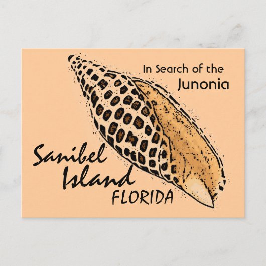 Carte postale humour Junonia shell Sanibel Island (Devant)
