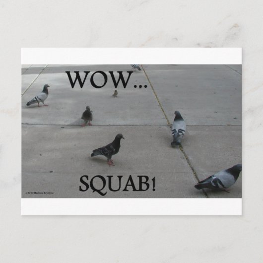 CARTE POSTALE HUMOUR PIGEON (Devant)
