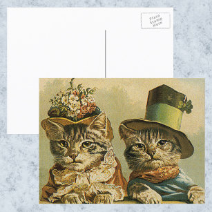 Carte Postale Humour vintage, Chats de mariée victorienne en Cas