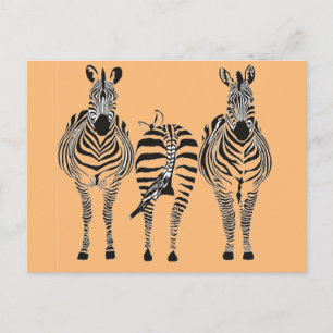 Carte Postale Humour ZEBRA