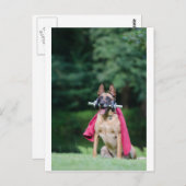 Carte Postale Hund beim Fitnesstoring (Devant / Derrière)