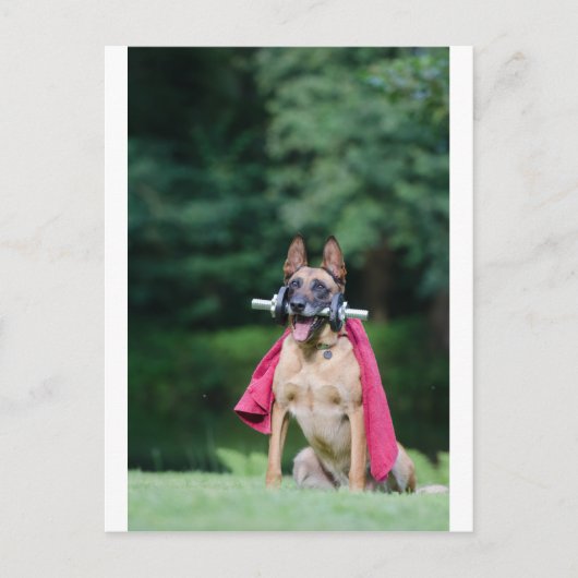 Carte Postale Hund beim Fitnesstoring (Devant)