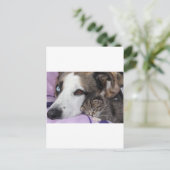 Carte Postale Hund, Katze, Freundschaft (Debout devant)