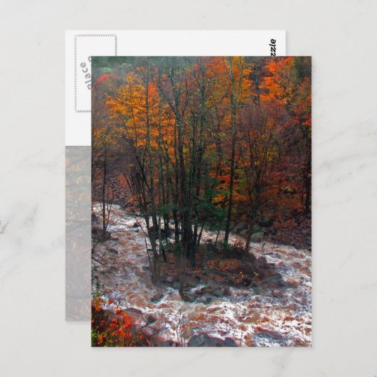 Carte Postale Hunter Mountain Fast Water (Devant / Derrière)