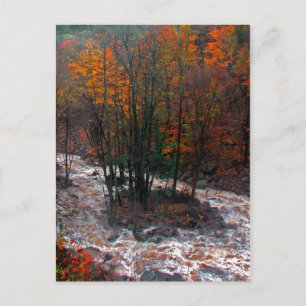 Carte Postale Hunter Mountain Fast Water