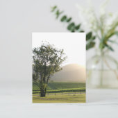 Carte Postale Hunter Valley, Nouvelle-Galles du Sud (Debout devant)