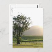 Carte Postale Hunter Valley, Nouvelle-Galles du Sud (Devant / Derrière)