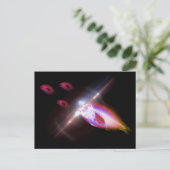 Carte Postale Hunting Dinner X-Ray Fish 1 (Debout devant)