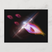 Carte Postale Hunting Dinner X-Ray Fish 1 (Devant)