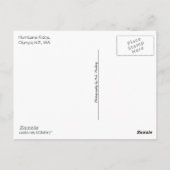 Carte Postale Hurricane Ridge (N.P. olympique) avec texte (Dos)