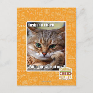Carte Postale Husband Kitteh