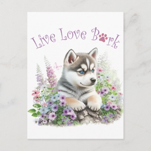 Carte Postale Husky Chig Maman Floral (Devant)