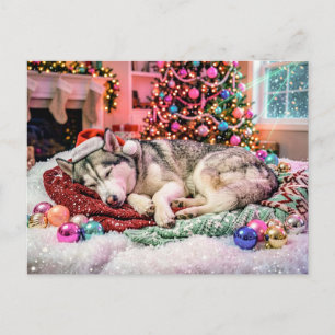 Carte Postale Husky dormant dans une scène de Noël cosy