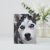 Carte postale Husky Puppy (Debout devant)
