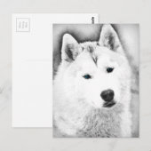 Carte Postale Husky Sibérien Blanc avec Dessin d'Art Blue Eyes (Devant / Derrière)