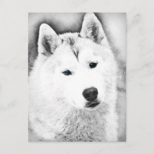 Carte Postale Husky Sibérien Blanc avec Dessin d'Art Blue Eyes