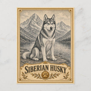 Carte Postale Husky sibérien, Chien du patrimoine vintage