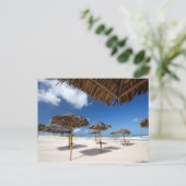 Carte Postale Huttes |Brazil de plage (Debout devant)