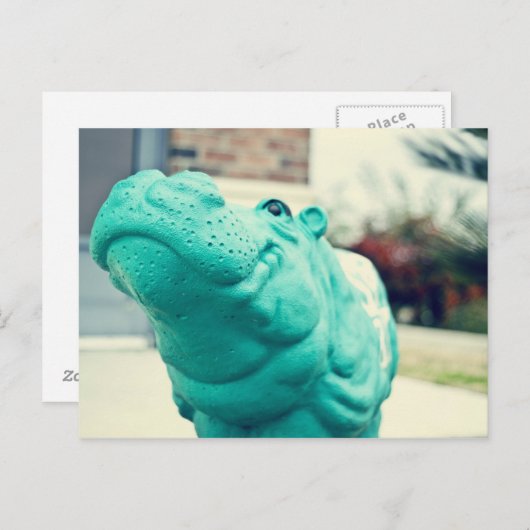 Carte Postale Hutto Hippo ! (Devant / Derrière)