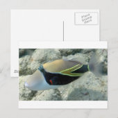 Carte Postale Huymuhumunukuapua'a Poisson officiel de l'État d'H (Devant / Derrière)